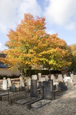 mezarlık ve sonbahar renkleri