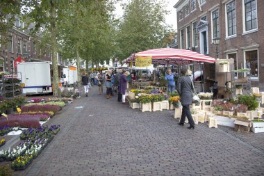çiçekler Wijk bij Duurstede piyasada