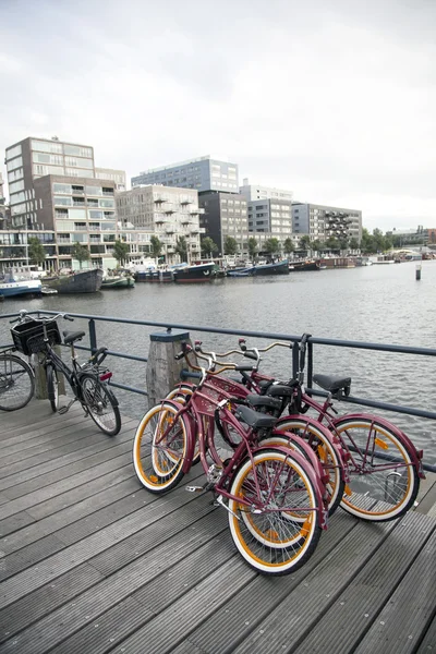 Fahrräder und moderne wohnungen im westerdok in amsterdam — Stockfoto