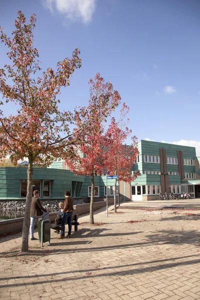 Rådhuset i wijk bij duurstede — Stockfoto