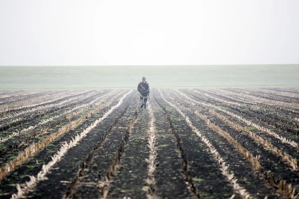Lovec v kukuřičném poli v Nizozemsku — Stock fotografie