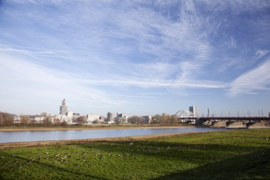 Kaz çim arnhem Hollanda town yakınındaki