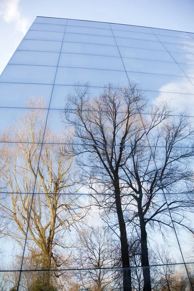 Glass facade and reflection of trees — Stock Photo, Image