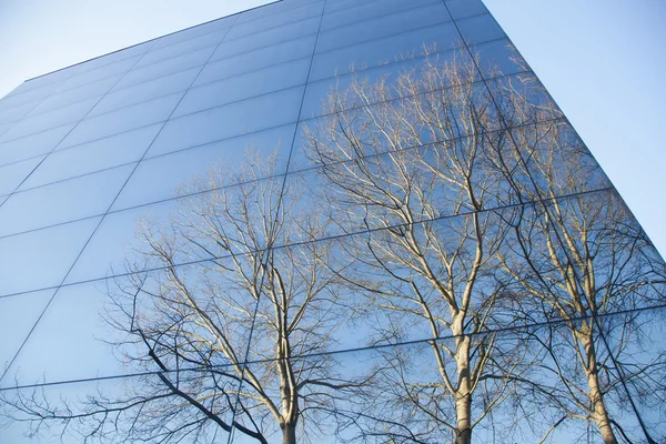 Facciate in vetro del moderno edificio per uffici e riflesso degli alberi — Foto Stock