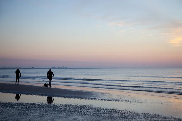 Personas y perros en la playa al atardecer en Holanda — Foto de Stock