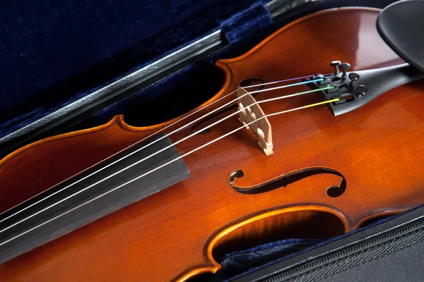 Скрипка в разі — стокове фото