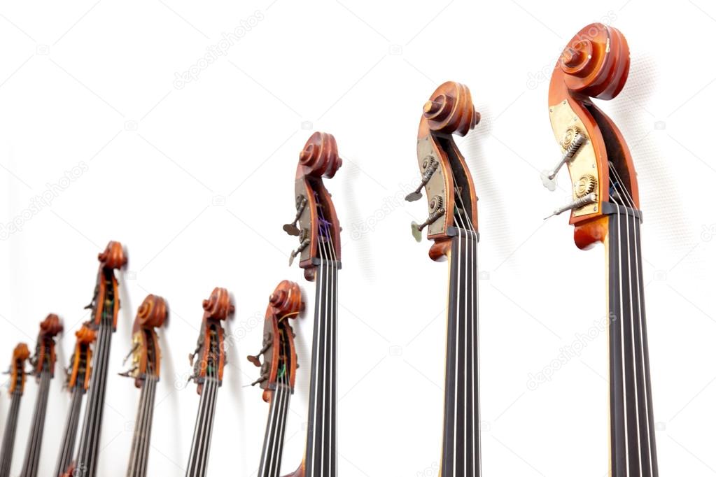 row of double basses details against a wall