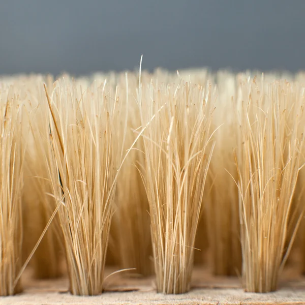 Close-up van oude Reinigingsborsteltje — Stockfoto