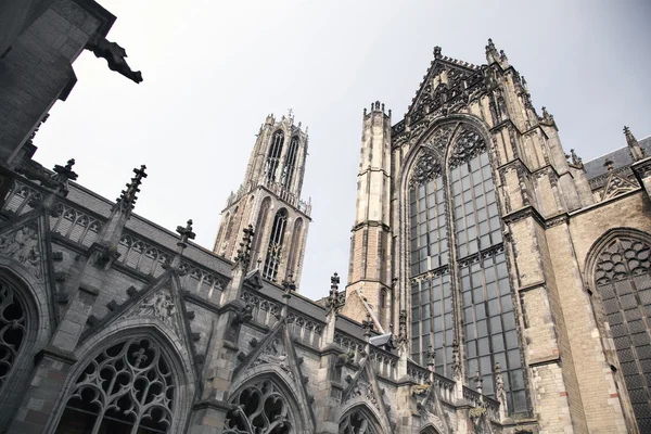 Dom Kilisesi ve utrecht Hollanda şehir Kulesi