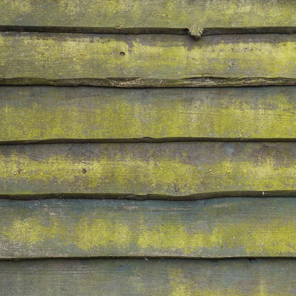 Pattern of old planks with moss — Stock Photo, Image