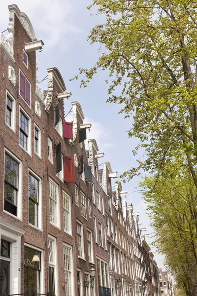 Grachtenpanden op leidsegracht in centrum van amsterdam met groene t — Stockfoto