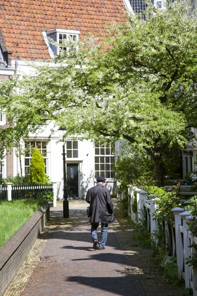 Man met GLB op begijnhof in Amsterdam onder bloeiende boom — Stockfoto