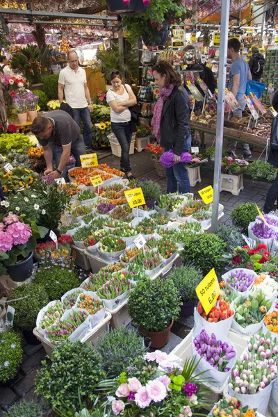 Turistas olhar para a mercadoria no mercado de flores amsterdam — Fotografia de Stock