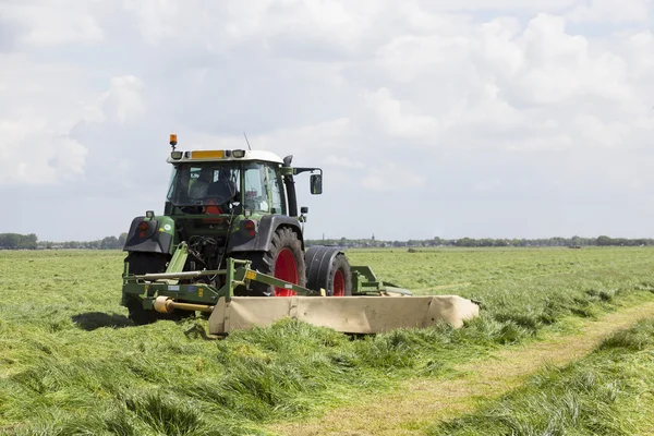 Turner trawa zielony pola w Holandii — Zdjęcie stockowe