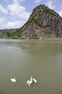 rock of Loreley next to the river rhine in germany clipart