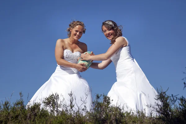 Two brides with rugby ball against blue sky background — Stock fotografie