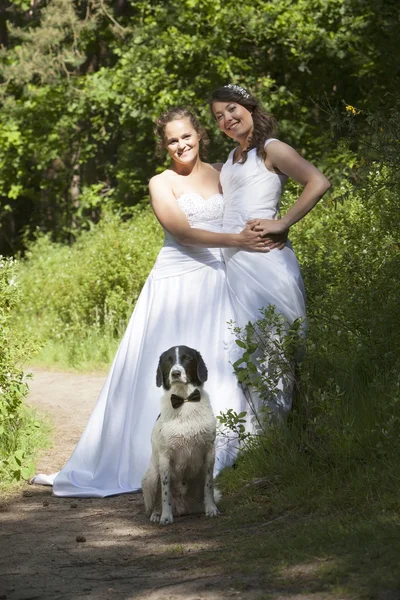Juste marié lesbienne paire avec chien dans forêt — Photo