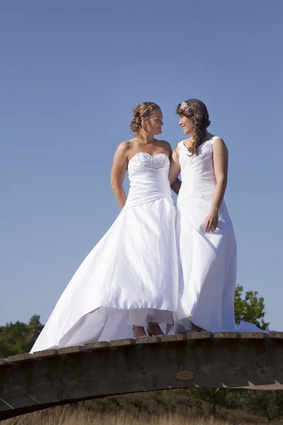Dos novias en puente de madera sobre fondo azul cielo — Foto de Stock