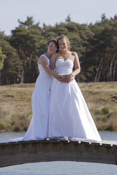 Two brides on wooden bridge against blue sky background — Φωτογραφία Αρχείου