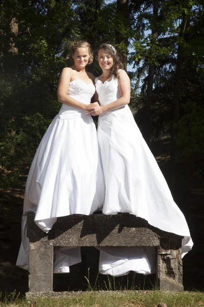 Imagen de dos novias de pie sobre un objeto concreto en la naturaleza surr —  Fotos de Stock