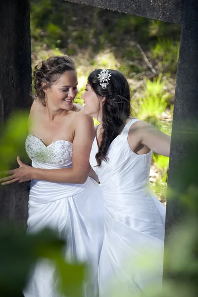 Retrato romântico de duas noivas no entorno da natureza — Fotografia de Stock