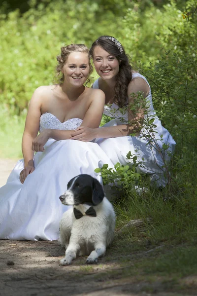 Frisch verheiratetes lesbisches Paar mit Hund im Wald — Stockfoto