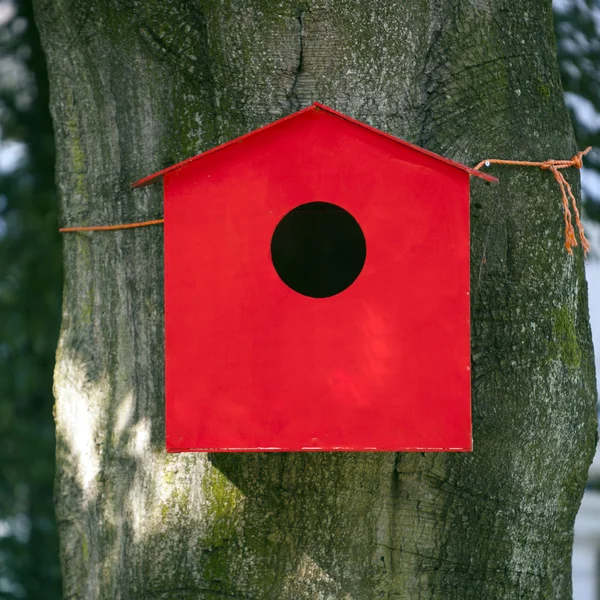 Rødt fuglehus mot bøketre – stockfoto
