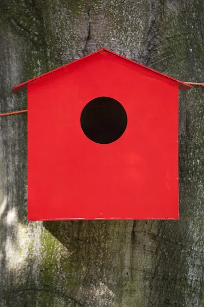 Red birdhouse przeciwko Buk drzewo — Zdjęcie stockowe