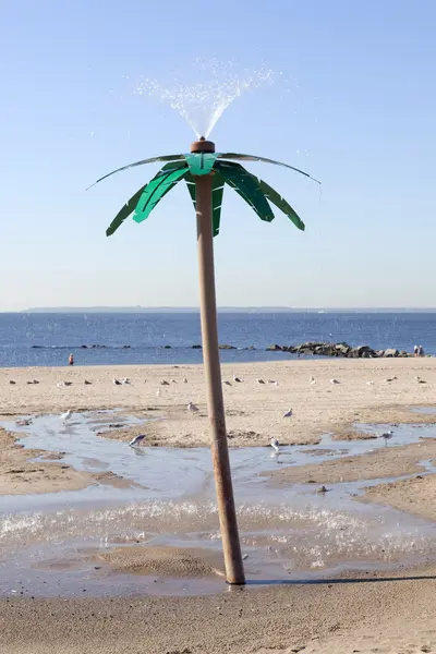 Shower in the form of palm tree on beach of new york city coney — Stock Photo, Image