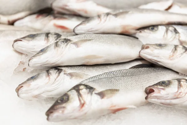 Frischer Silberfisch Auf Eis Auf Der Theke Nahaufnahme Gesunde Ernährung — Stockfoto