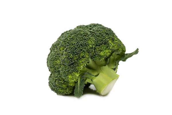 Hoved Broccoli Isoleret Hvid Baggrund Sund Mad Vitaminer - Stock-foto