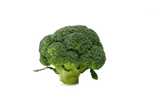 Head Broccoli Isolated White Background Healthy Food Vitemins — Stock Photo, Image