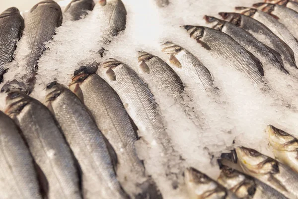 Gekühlten Rohen Fisch Auf Eis Auf Der Theke Ansicht Von — Stockfoto