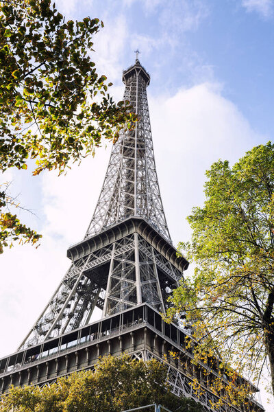 Eiffel Tower in the green of trees against the blue sky. Vertical.