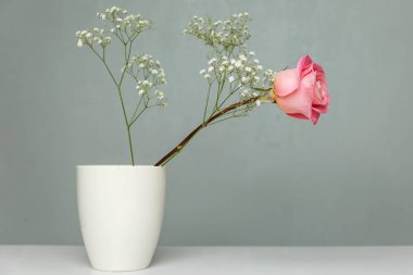 Gri bir duvarın arka planında beyaz bir vazoda yalnız pembe bir gül. Romantizm ve şefkat. İç mekanda minimalizm. Metin için boşluk.