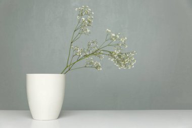 Beyaz vazodaki küçük beyaz çiçekler gri bir duvara karşı bir masanın üzerinde duruyorlar. İç mekanda narin minimalizm. Metin için boşluk.