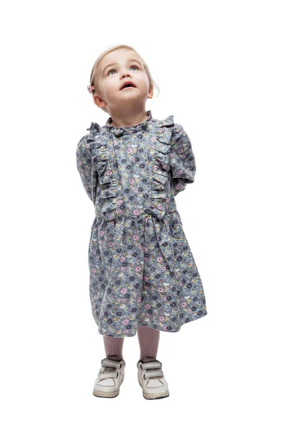 Прекрасная Маленькая Девочка Лет Платье Стоит Смотрит Вверх Любопытство Интерес — стоковое фото