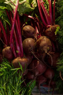 Tezgahın üstünde taze pancarlar. Sağlıklı yiyecekler, vitaminler ve veganlık. Dikey.