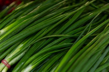 Tezgahta taze taze soğan var. Vitaminler, sağlıklı beslenme ve veganlık. Yakın plan..