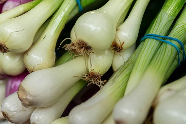 Fresh Green Onions Market Counter Vitamins Healthy Eating Veganism Close — Stock Photo, Image
