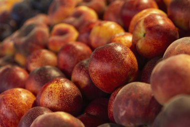 Marketteki kutuların içinde sulu domatesler. Vitaminler ve sağlıklı yiyecekler. Yakın plan. Dikey.