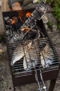 Dorado balığı ızgarada kızartılıyor. Doğada piknik. Dikey.