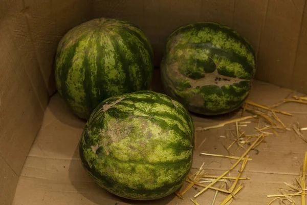 Vattenmeloner Stor Låda Marknaden Ovanifrån — Stockfoto