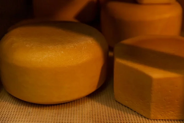 木製の棚にチーズの大きな丸い頭 酪農製品の農場生産 — ストック写真