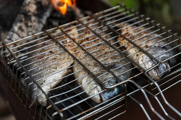 Dorado Fisch Wird Auf Dem Grill Gebraten Picknick Der Natur — Stockfoto