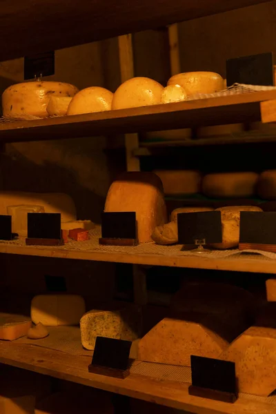 Heads of different types of cheese on wooden shelves with blank signs near them. Space for text. Vertical.