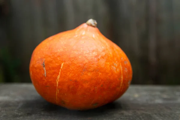 Λαμπερή Πορτοκαλί Κολοκύθα Ξύλινο Τραπέζι Νέα Συγκομιδή Υγιεινή Τροφή Και — Φωτογραφία Αρχείου