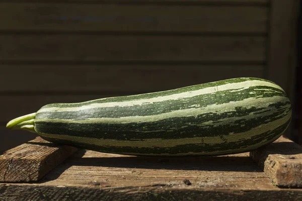 Gestreifte Grüne Zucchini Auf Einer Holzkiste Garten Einem Sonnigen Tag — Stockfoto