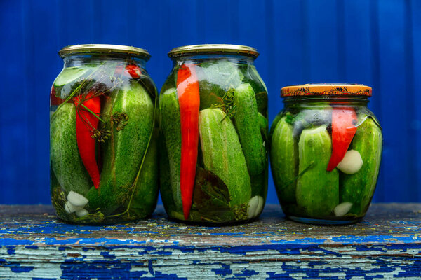 Pickled pickled cucumbers in glass jars on a wooden bench in the hole of a house in the village. Blue background. Front view. Traditional preparations for the winter.