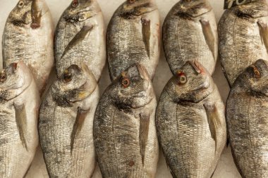 Tezgahtaki buzda taze çiğ dorado balığı. Sağlıklı yiyecekler ve vitaminler. Üst görünüm.